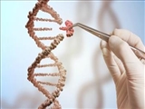 برگزاری کارگاه "CRISPR" توسط مرکز توسعه و هماهننگی پژوهش دانشگاه (RDCC) با همکاری مرکز تحقیقات ایمونولوژی(IRC):